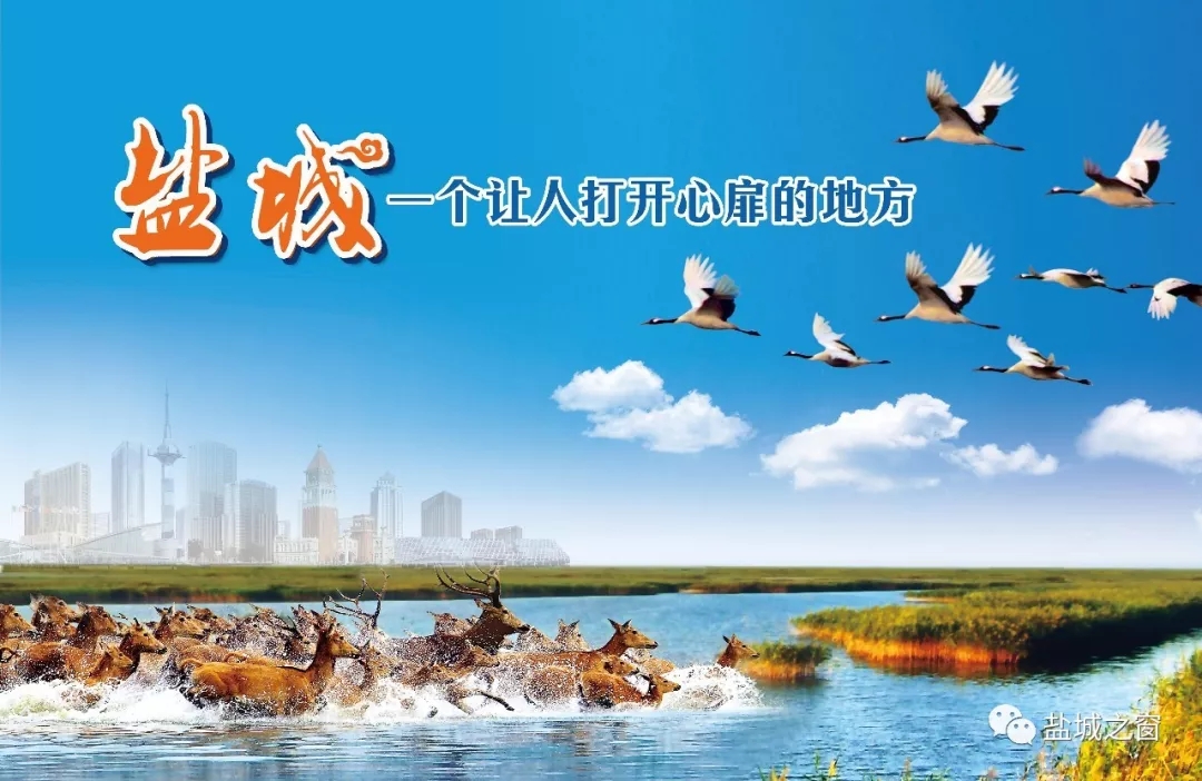 鹽城1.webp.jpg 鹽城1.webp.jpg